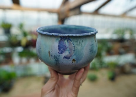 神田知広pot No.12
