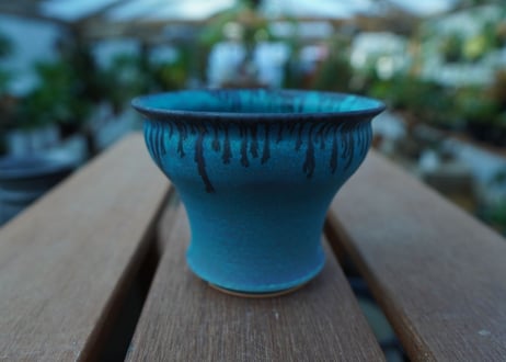 持木祐一 pot  No.28