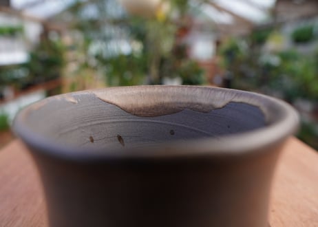 關まどか pot NO.11-2 F