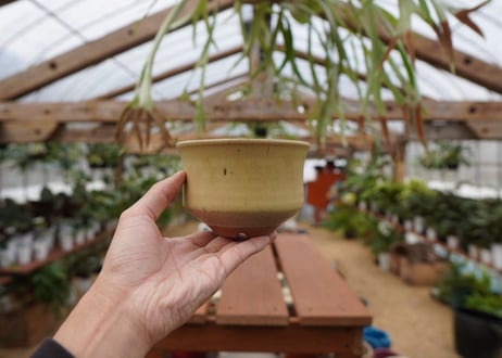 關まどか pot NO.26-3 F
