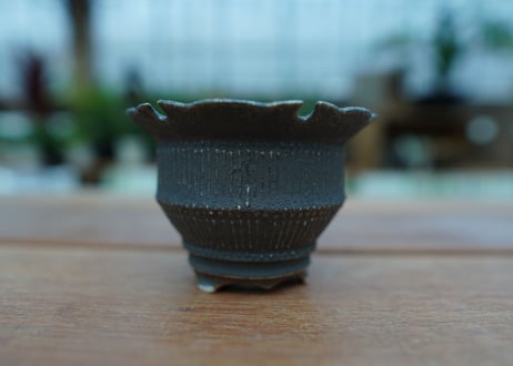 Muddy Punk pot No.4