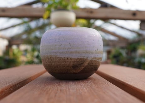 關まどか pot NO.9-1 F