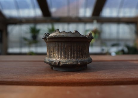 保田修作  pot No.11