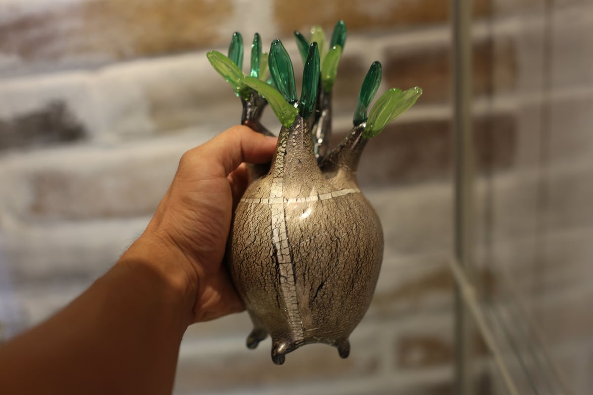 N*I様 落札キャンセルによる再出品 MOCMOC グラキリス　木製　枯れないグ 枯れない“Glasscilius black form ” no.3 | mana's far