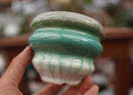 持木祐一pot NO.18