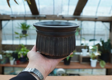 保田修作  pot No.66