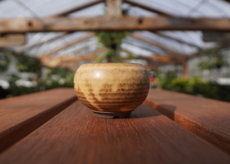關まどか pot NO.19-2