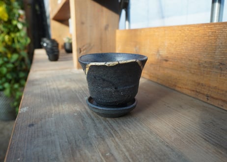 hechicami pot No.6