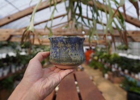 關まどか pot NO.12-2 F