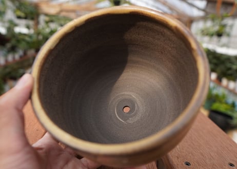 關まどか pot NO.21-5　F