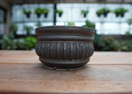 保田修作  pot No.22