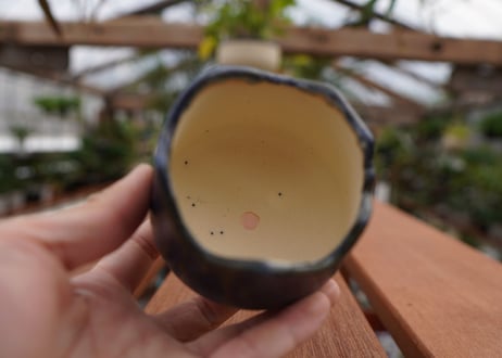 關まどか pot NO.3-2　F