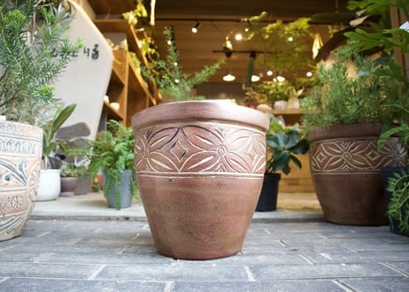 テラコッタ鉢 小