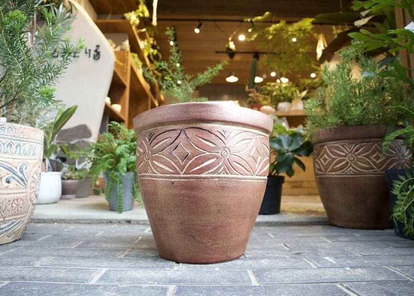 テラコッタ鉢 小 | mana's farm:塊根植物・アガベ・ドライガーデン植物