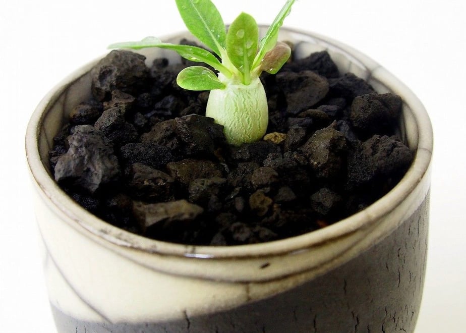 57d8f8061003158ffe000049