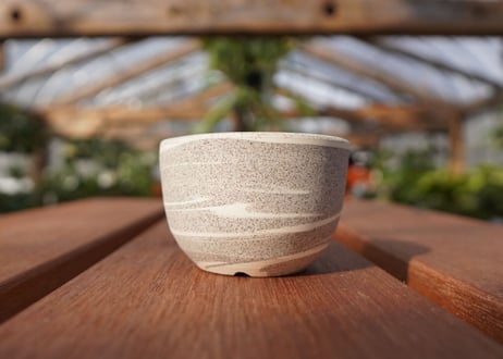 關まどか pot NO.19-1 F