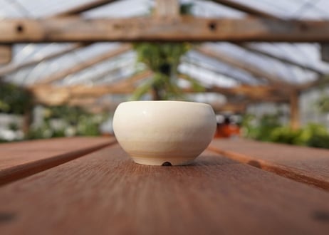 關まどか pot NO.20-2