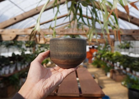 關まどか pot NO.16-1 F