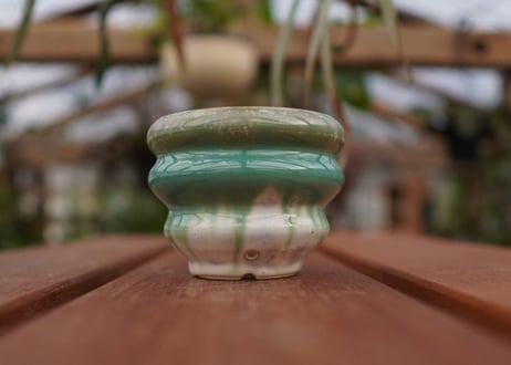 持木祐一pot NO.18