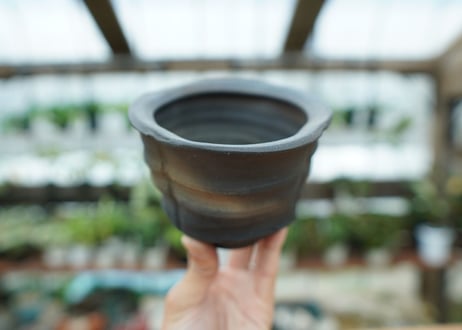 沼野秀章 pot No.7
