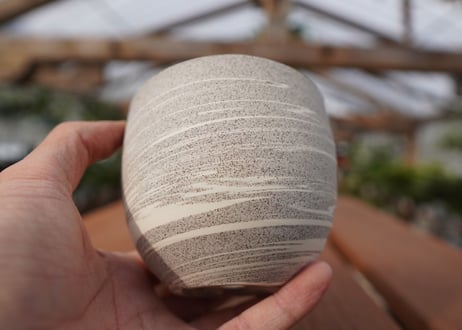 關まどか pot NO.22-4 F
