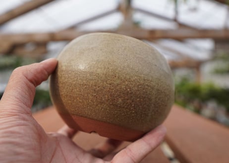 關まどか pot NO.26-1　Ｇ