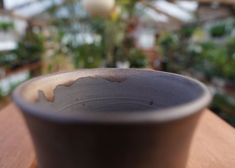關まどか pot NO.11-5 F