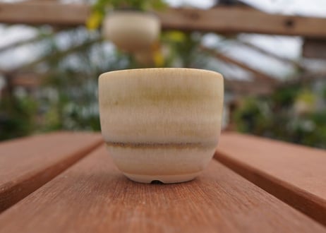 關まどか pot NO.1-5　F
