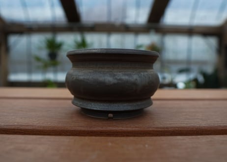 保田修作  pot No.19