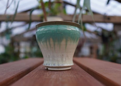 持木祐一pot NO.21