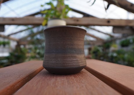 關まどか pot NO.11-2 F