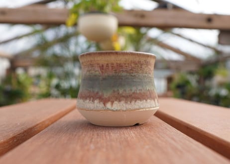 關まどか pot NO.7-9　F