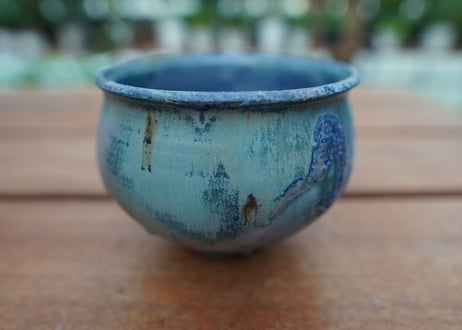 神田知広pot No.12