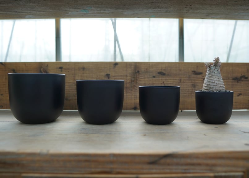 Maceta Bowl Long | mana's farm:塊根植物・アガベ・ドライガーデン