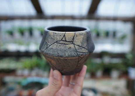 hechicami pot NO.7