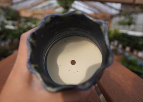 關まどか pot NO.12-2 F