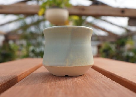 關まどか pot NO.5-5　F
