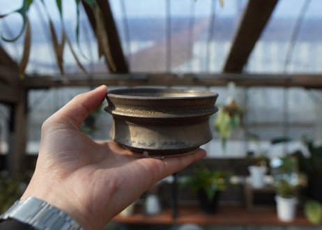 保田修作  pot No.12