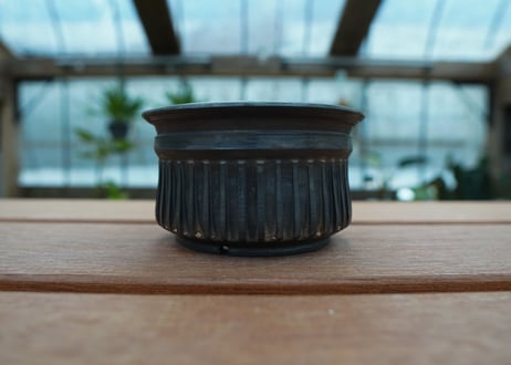 保田修作  pot No.54