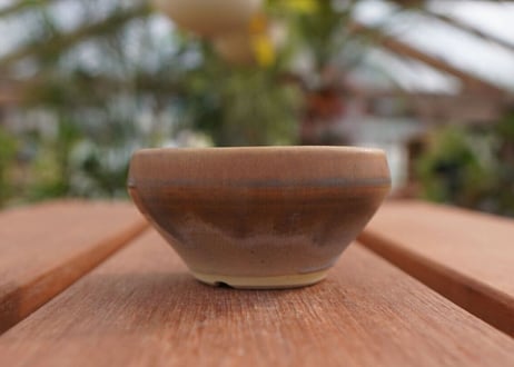 關まどか pot NO.1
