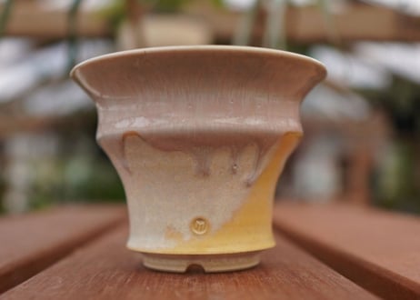 持木祐一pot NO.11