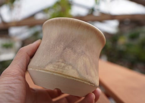 關まどか pot NO.5-2　Ｇ