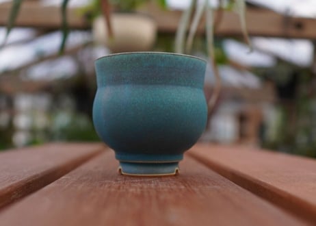 持木祐一pot NO.2