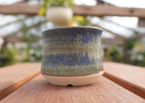 關まどか pot NO.7-4　F