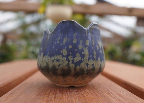 關まどか pot NO.3-3　Ｇ