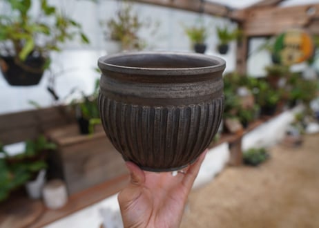 保田修作  pot No.15