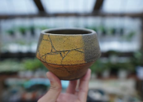 hechicami pot NO.12