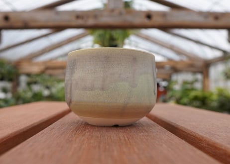 關まどか pot NO.28-2　F
