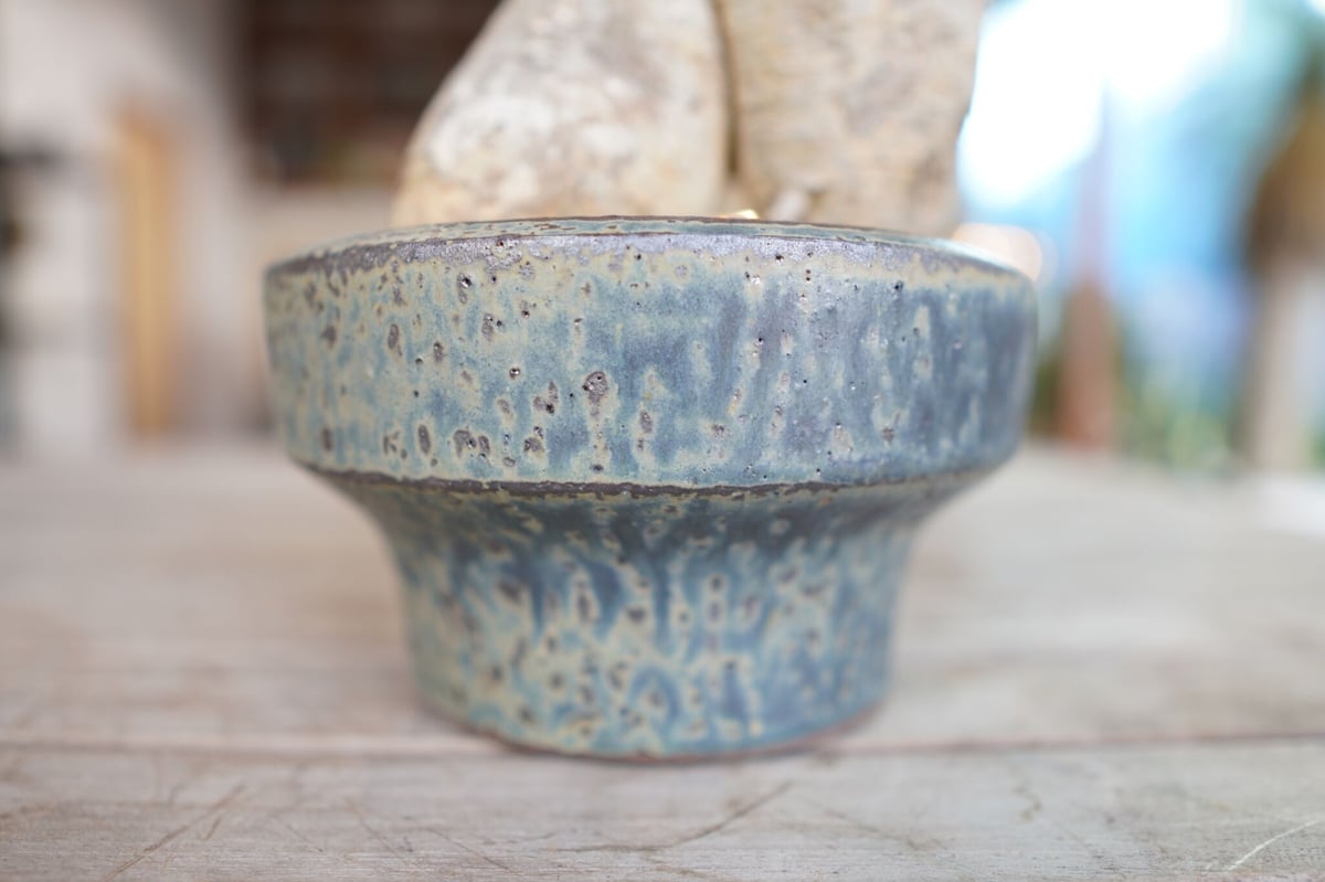 アデニア ペリエリ インビジブルインク アデニア ペリエリ Adenia