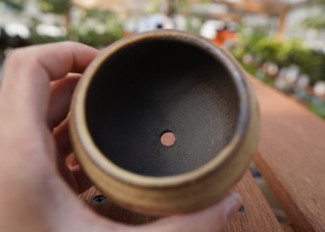 關まどか pot NO.19-2